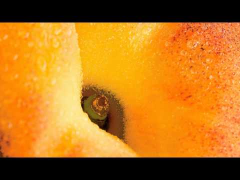 Icicle - Strange fruit (HD) SOULR032