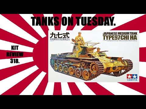 CBD for Cats Video Preview