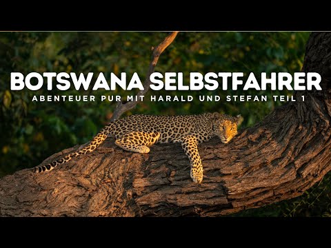 Pure adventure: A self-drive trip through Botswana – Part 1 From Kasane to Khwai!