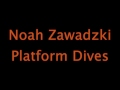 Noah Zawadzki 10 meter Platform Dives