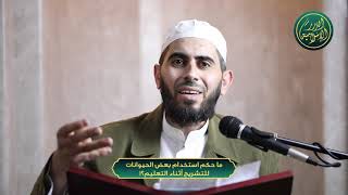 صورة ما حكم استخدام بعض الحيوانات للتشريح أثناء التعليم؟!