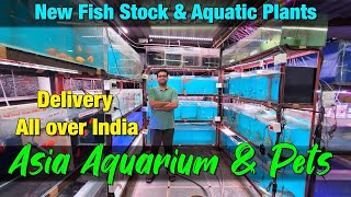 New Fish Stock and Aquatic plants at Asia Aquarium I Delivery Available All Over India