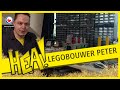 HEA! Legobouwer Peter