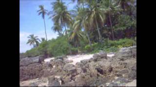 King Crimson - Happy with What You Have to Be Happy With [2003]