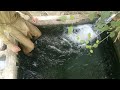 New Tubewell Swimming Vlog Bathing Swimming