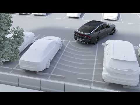 Parking Distance Warning (PDW)