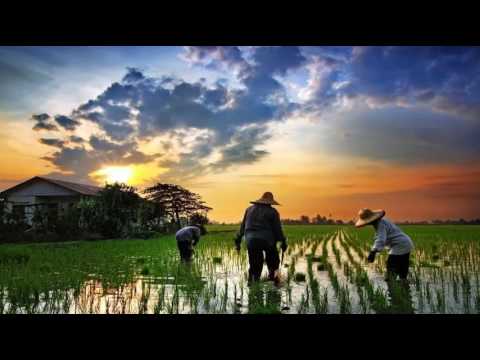 J.MIZAN - DESA PERMAI