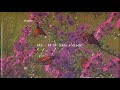 Bts 00 00 Zero O Clock Slowed Down