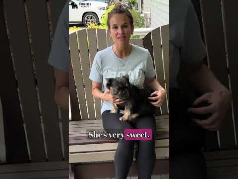 Video 1