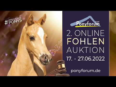 North Face Hengst 14.05.2022 v. FS Numero Uno / Cosmopolitan NRW