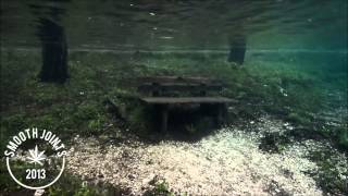 Madlib - Jungle Sounds