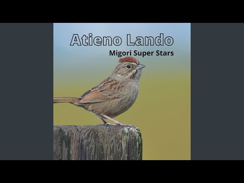 Atieno Lando