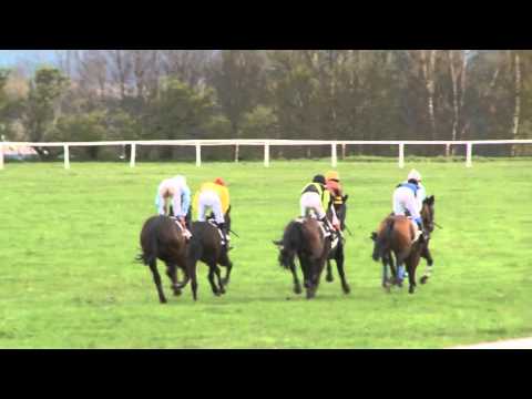 MI, 16. 4. 2016, 9. dostih - Cena PIVOVARU SVIJANY