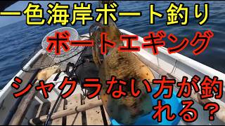 一色海岸ボートエギング