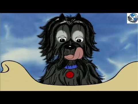 Hairy Maclary - Donaldsons Dairy