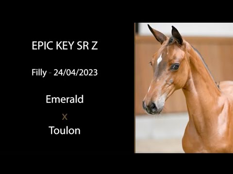 Epic Key SR Z (Emerald x Toulon)