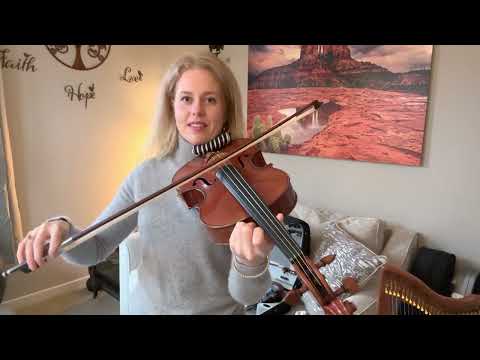 Bowing Techniques: Portato