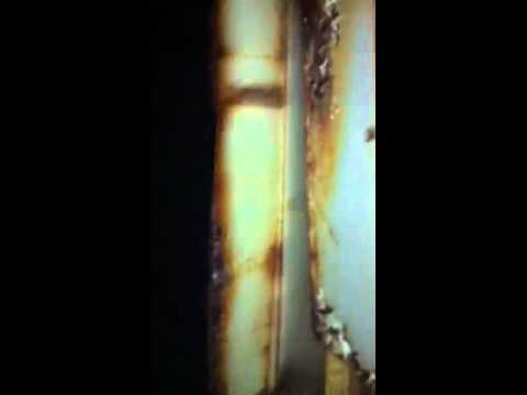 The Ladd School Video 6