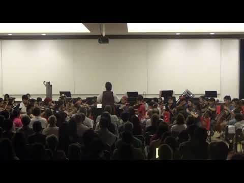 2019 Side-by-Side - A New Satiesfaction