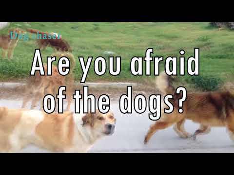 Dog Chaser - repellent sounds Video