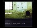 Mesh - The Damage You Do