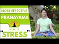 Anulom Vilom Pranayama Pranayama For Stress And Anxiety Manthena Satyanarayana Raju Latest Video