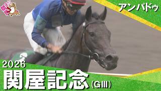 【不良馬場の中 5馬身差圧勝！】2026年関屋記念(ＧⅢ) アンパドゥ 【カンテレ公式】
