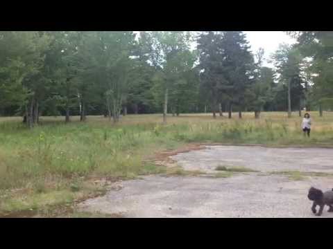 St  Margarets from the parking lot