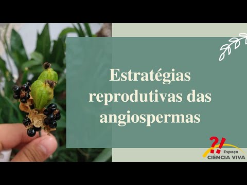 Estratégias reprodutivas das angiospermas