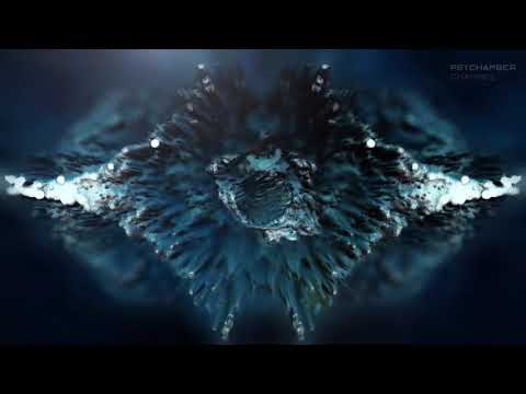 Signals - Progressive Psychill, Psybient, Trance Mix