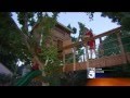 Treehouse Trouble