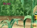 The Secret Files Of The Spy Dogs Ful English Episode Virgil Bunny Part 2
