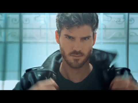 Panrider Trailer ❤️