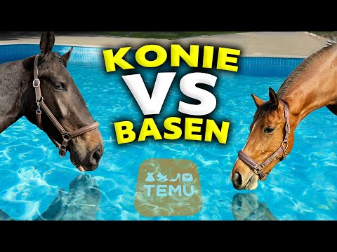 BASEN DLA KONIA?! 💦 | Testujemy produkty z TEMU 🧡