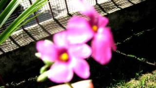 Extremoduro - Tercer movimiento: Lo de dentro.