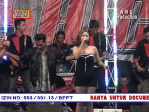 download lagu mp3 mp4 Lagu Dangdut Koplo Palapa Gula Gula, download lagu Lagu Dangdut Koplo Palapa Gula Gula gratis, unduh video klip Lagu Dangdut Koplo Palapa Gula Gula