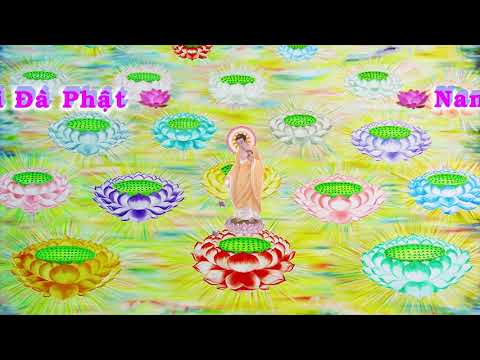HD | Kinh A Di Đà Sớ Sao Diễn Nghĩa, tập 184 [phụ đề] - Lão Pháp Sư Tịnh Không