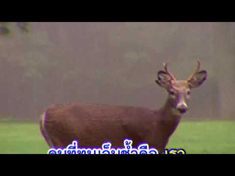 ช้ำคือเรา  Cover Ver.  โอม / เชา COCKTAIL & แม็ก The Darkest Romance