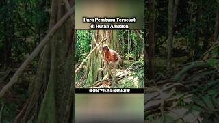 Download lagu LOST IN THE AMAZON FOREST #filmstoryline #film mp3 Download lagu LOST IN THE AMAZON FOREST #filmstoryline #film mp3