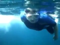 Dive Academy Santa Pola - Snorkel Safari on ...