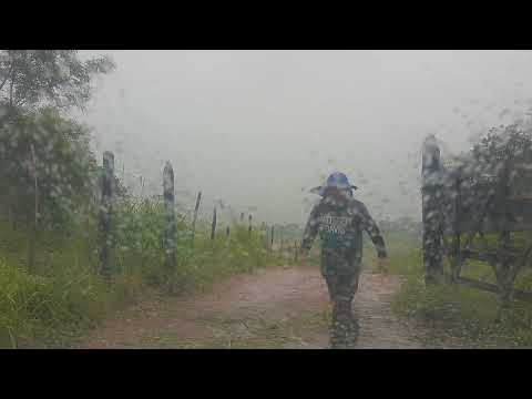 Isto é uma vergonha abadono total pelos gestores da cidade de Cuité de Mamanguape