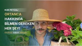 Ortanca Hakkında Bilmen Gereken Her Şey | Eksiksiz Bakım Rehberi