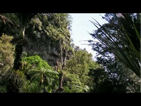 Lost In The Garden Of Eden cover