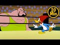Pica Pau Pica Pau Luta Contra O Triturador 3 Episódios Completos