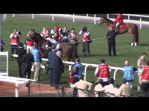 Dubai Sheema Classic 2013