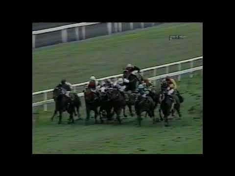 1992 BRC Doomben 10000