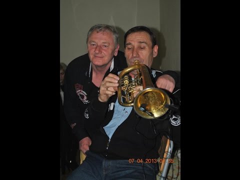 VITA BUDIMIROVIC - KASILJI PUSTNJE AUDJIT - 2014