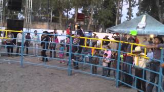 preview picture of video 'Bull riding in a rodeo in Central Mexico'