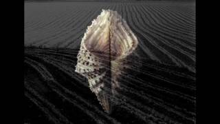 Alasdair Roberts - The Year of the Burning