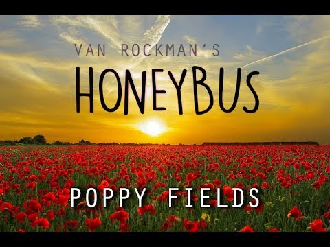 Van Rockman's Honeybus - Poppy Fields